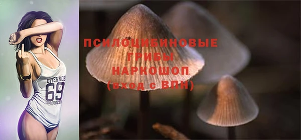 2c-b Пестово