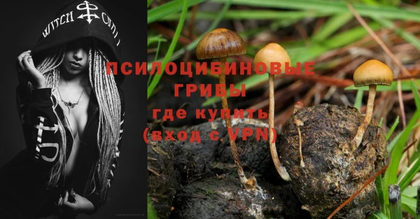дмт Осинники