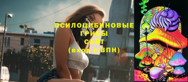 герыч Пересвет