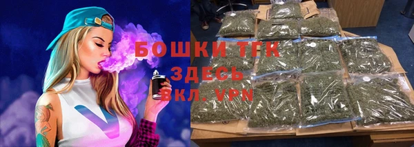 2c-b Пестово