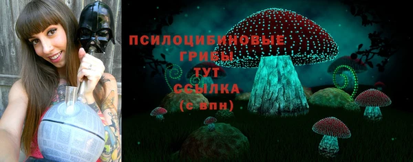 герыч Пересвет