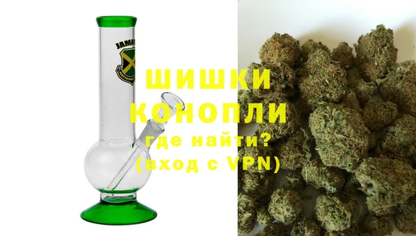 ГАЛЛЮЦИНОГЕННЫЕ ГРИБЫ Осташков
